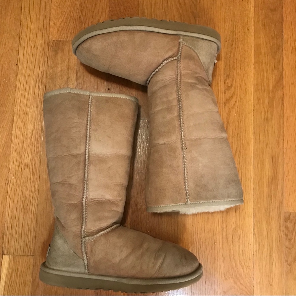 Classic Tall Tan Uggs